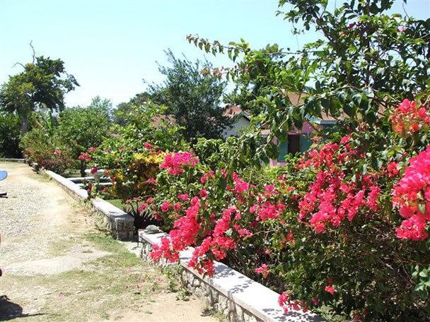 Summerset Residence Negril Bagian luar foto